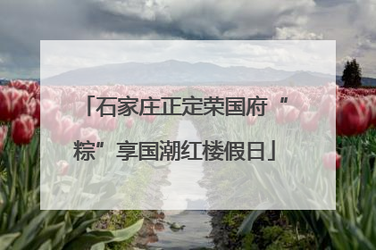 石家庄正定荣国府“粽”享国潮红楼假日