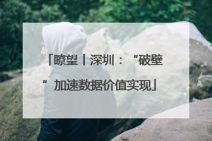 瞭望丨深圳：“破壁”加速数据价值实现