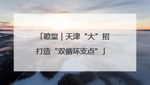 瞭望｜天津“大”招打造“双循环支点”