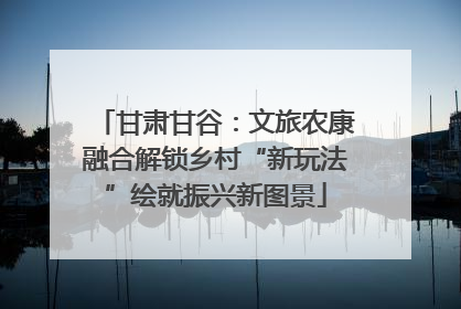 甘肃甘谷：文旅农康融合解锁乡村“新玩法”绘就振兴新图景