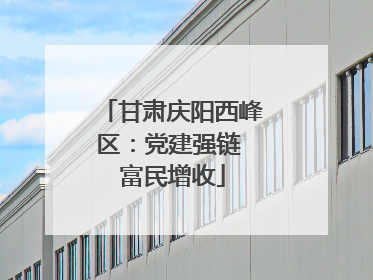 甘肃庆阳西峰区：党建强链 富民增收