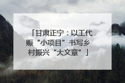 甘肃正宁：以工代赈“小项目”书写乡村振兴“大文章”