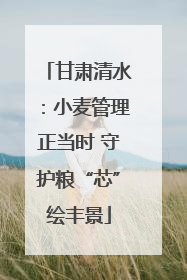 甘肃清水：小麦管理正当时 守护粮“芯”绘丰景