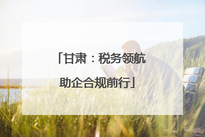 甘肃：税务领航 助企合规前行