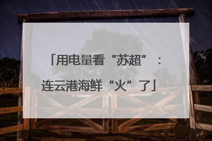 用电量看“苏超”：连云港海鲜“火”了