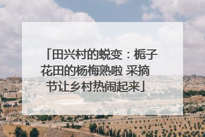 田兴村的蜕变：栀子花田的杨梅熟啦 采摘节让乡村热闹起来