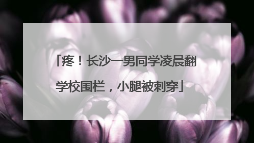 疼！长沙一男同学凌晨翻学校围栏，小腿被刺穿