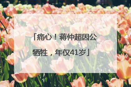 痛心！蒋仲超因公牺牲，年仅41岁