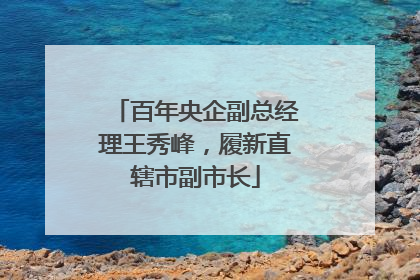 百年央企副总经理王秀峰，履新直辖市副市长