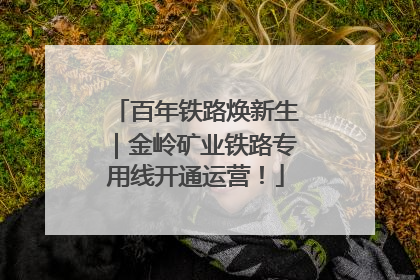 百年铁路焕新生｜金岭矿业铁路专用线开通运营！