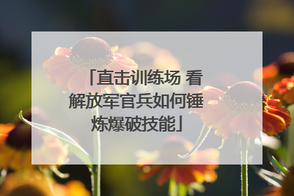 直击训练场 看解放军官兵如何锤炼爆破技能