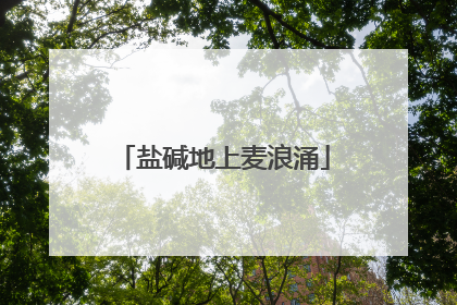 盐碱地上麦浪涌
