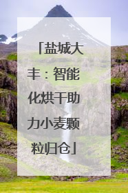 盐城大丰：智能化烘干助力小麦颗粒归仓