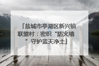 盐城市亭湖区新兴镇联盟村：密织“防火墙”守护蓝天净土