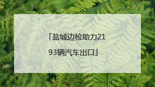 盐城边检助力2193辆汽车出口