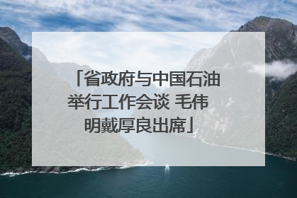 省政府与中国石油举行工作会谈 毛伟明戴厚良出席