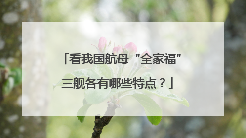 看我国航母“全家福” 三舰各有哪些特点？