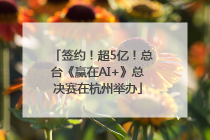 签约！超5亿！总台《赢在AI+》总决赛在杭州举办