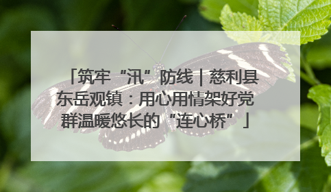 筑牢“汛”防线｜慈利县东岳观镇：用心用情架好党群温暖悠长的“连心桥”