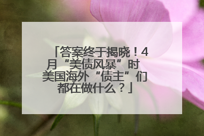答案终于揭晓！4月“美债风暴”时 美国海外“债主”们都在做什么？