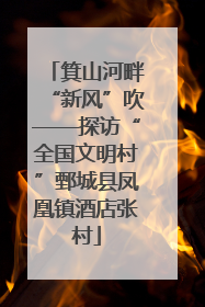 箕山河畔“新风”吹——探访“全国文明村”鄄城县凤凰镇酒店张村