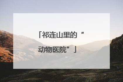 祁连山里的“动物医院”