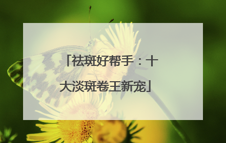 祛斑好帮手：十大淡斑卷王新宠