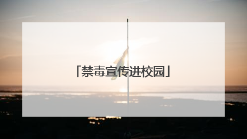 禁毒宣传进校园