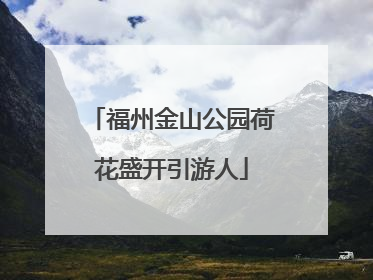 福州金山公园荷花盛开引游人