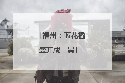 福州：蓝花楹盛开成一景
