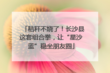 秸秆不烧了！长沙县这套组合拳，让“星沙蓝”稳坐朋友圈
