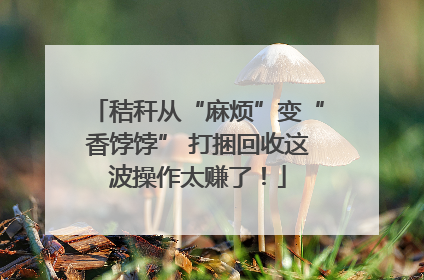 秸秆从“麻烦”变“香饽饽” 打捆回收这波操作太赚了！