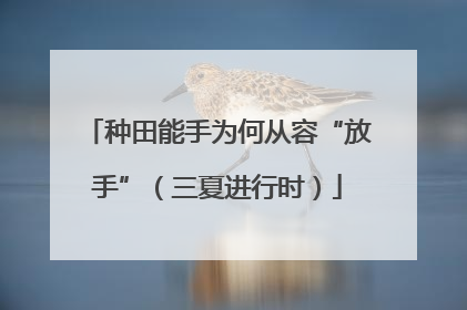 种田能手为何从容“放手”（三夏进行时）
