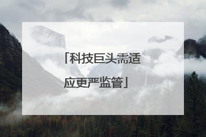 科技巨头需适应更严监管