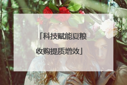 科技赋能夏粮收购提质增效