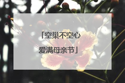 空巢不空心 爱满母亲节