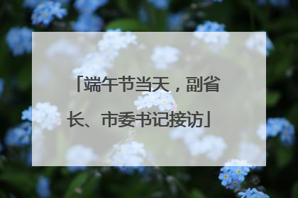 端午节当天，副省长、市委书记接访