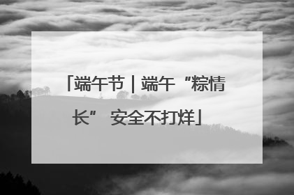 端午节｜端午“粽情长” 安全不打烊