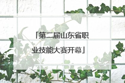 第二届山东省职业技能大赛开幕