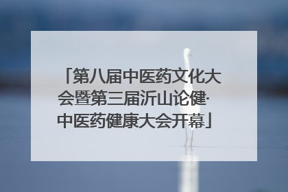 第八届中医药文化大会暨第三届沂山论健·中医药健康大会开幕
