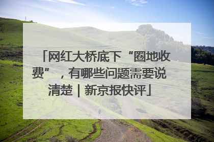 网红大桥底下“圈地收费”，有哪些问题需要说清楚｜新京报快评
