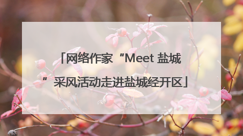 网络作家“Meet 盐城”采风活动走进盐城经开区
