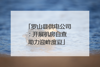 罗山县供电公司：开展机房自查 助力迎峰度夏