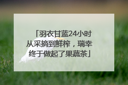 羽衣甘蓝24小时从采摘到鲜榨，瑞幸终于做起了果蔬茶