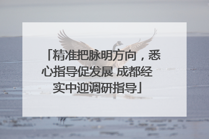 精准把脉明方向，悉心指导促发展 成都经实中迎调研指导