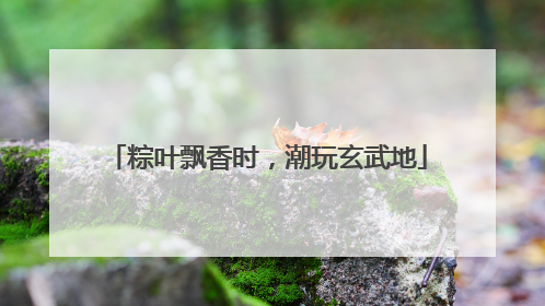 粽叶飘香时，潮玩玄武地