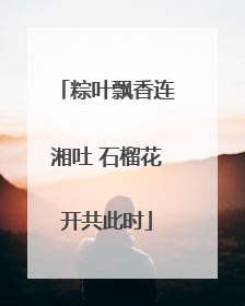 粽叶飘香连湘吐 石榴花开共此时