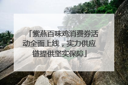 紫燕百味鸡消费券活动全面上线，实力供应链提供坚实保障