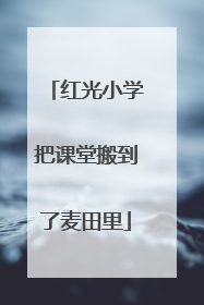 红光小学把课堂搬到了麦田里