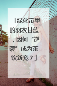 绿化带里的羽衣甘蓝，因何“逆袭”成为茶饮新宠？
